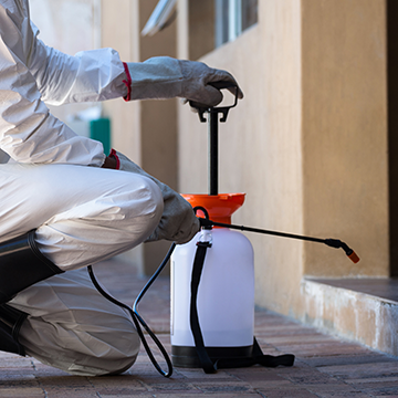 シロアリアイコン